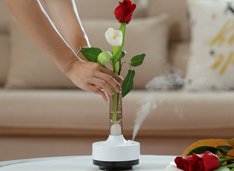 Time Vase Humidifier